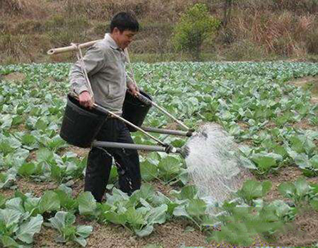 <b>水溶肥的正確使用方法</b>