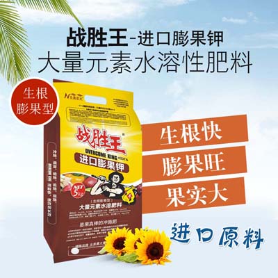 甘蔗怎么施肥可高產(chǎn)？水溶肥怎么用？